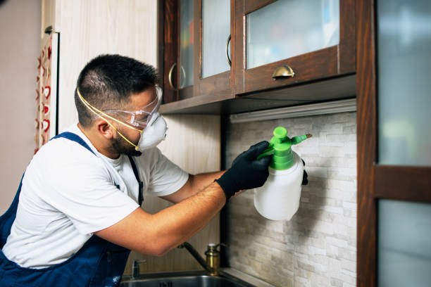 Best Residential Pest Control  in Palatine, IL
