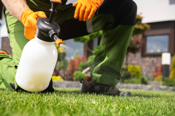 Best Best Pest Control Companies  in Palatine, IL