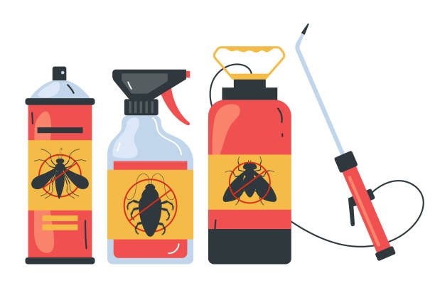 Best Rat Extermination Near Me  in Palatine, IL