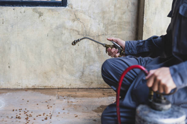 Best Pest Inspection Near Me  in Palatine, IL